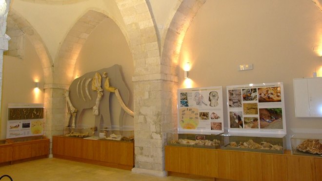 Paleontological Museum Rethymno | Blog | Art of Holidays